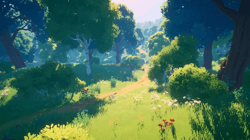 Cozy Camp