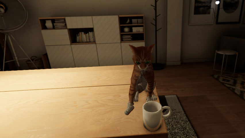 My Cat Simulator