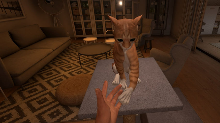 My Cat Simulator