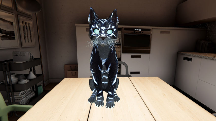 My Cat Simulator