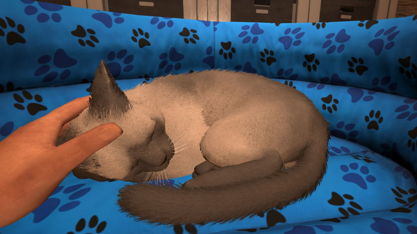 My Cat Simulator