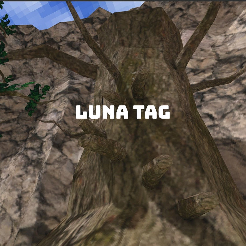 Luna Tag