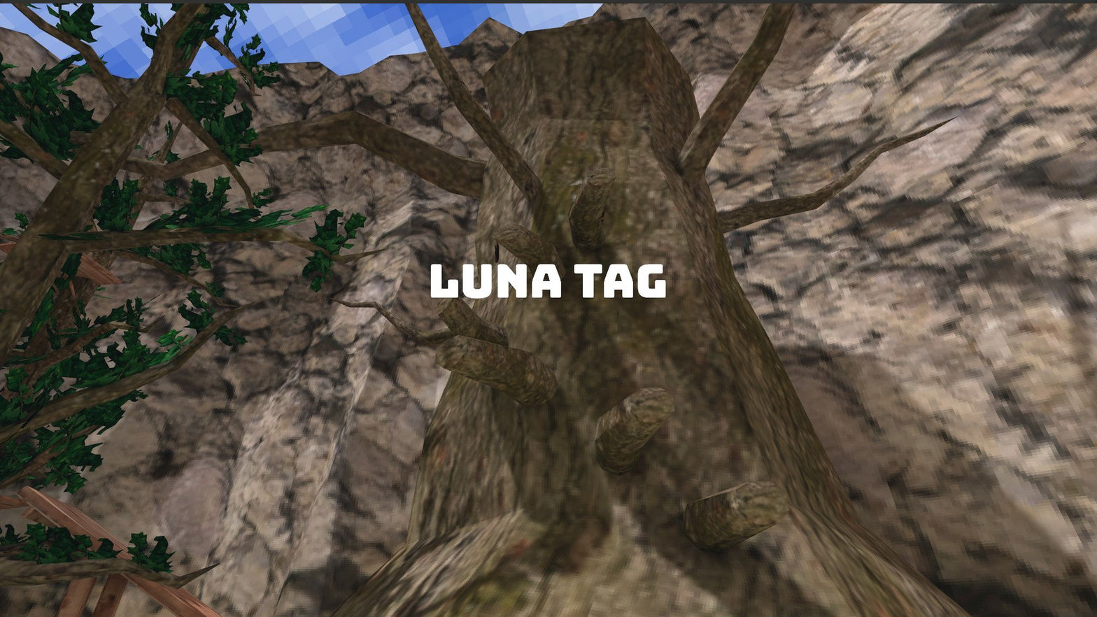 Luna Tag