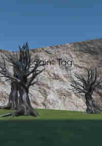Saint Tag