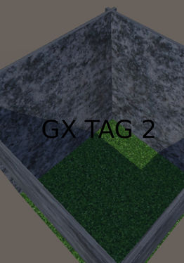 GX TAG2