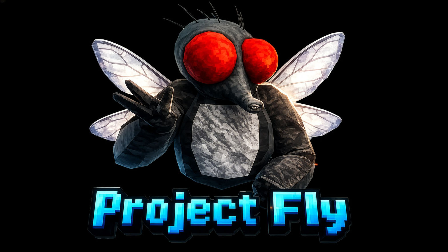 Project Fly