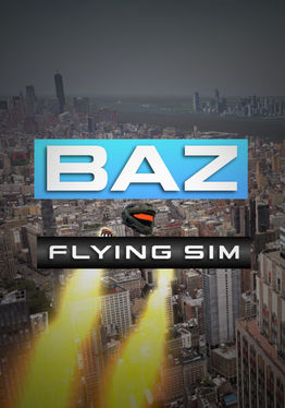 Baz Flying Sim