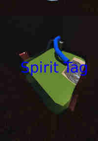 Spirit Tag