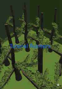 Tutorial Runners