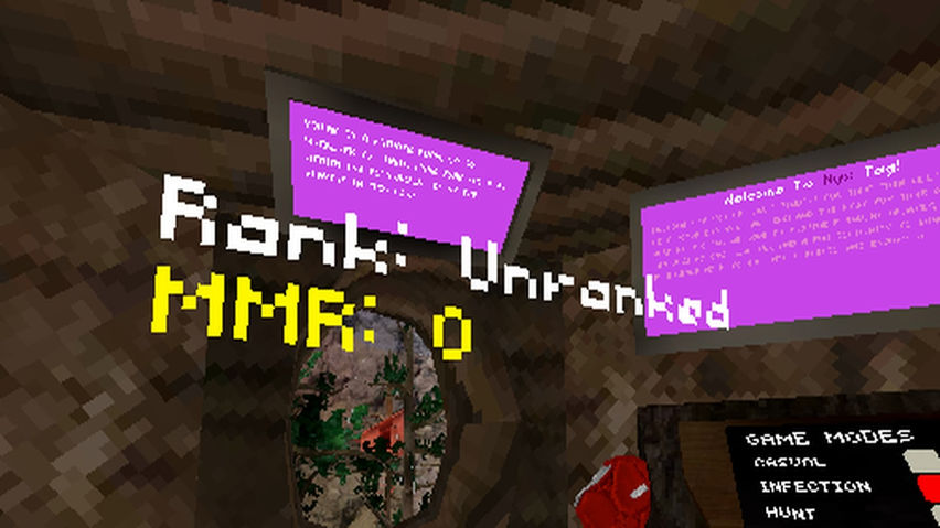 Nyx Taggers