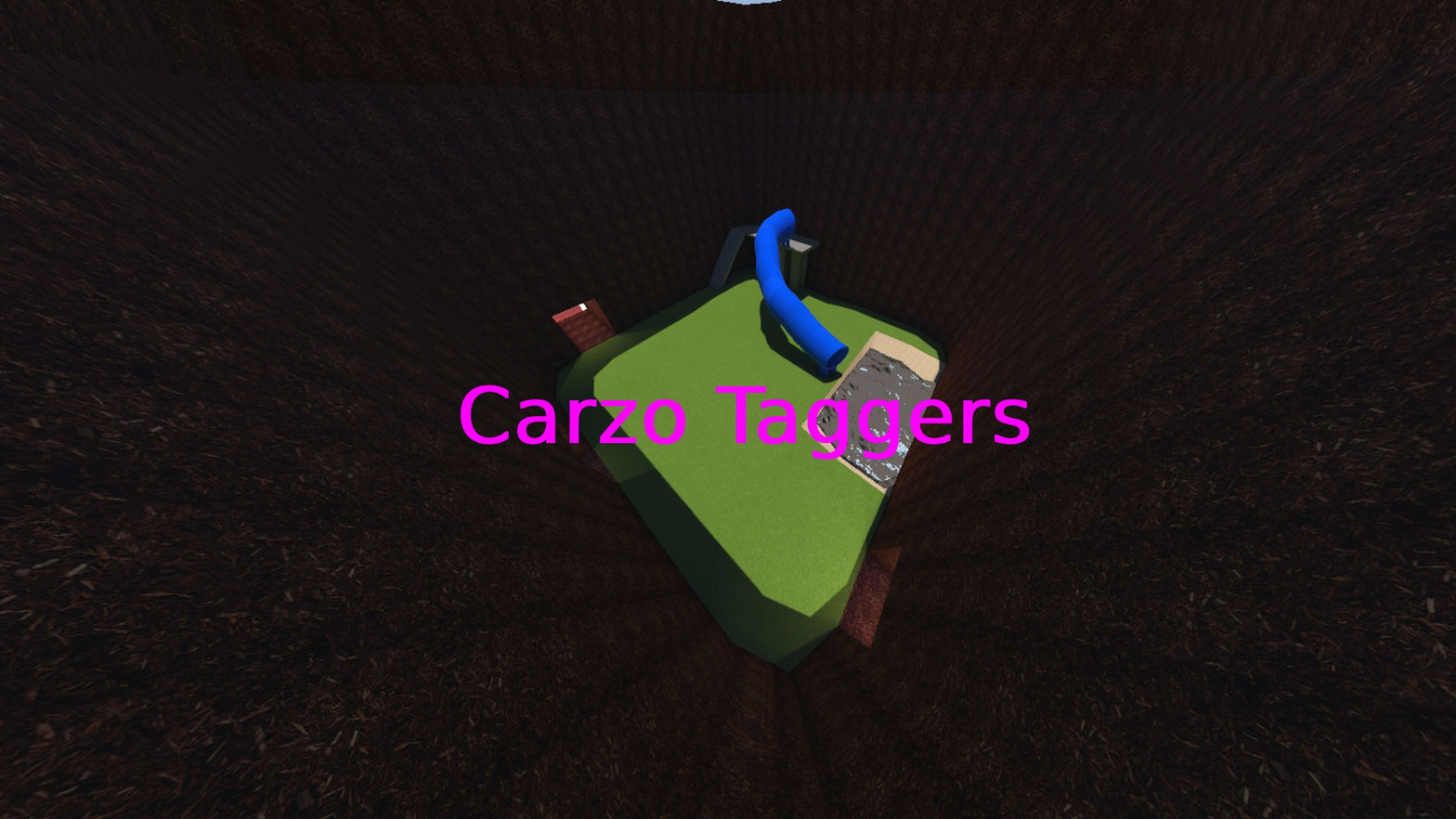 Carzo Taggers