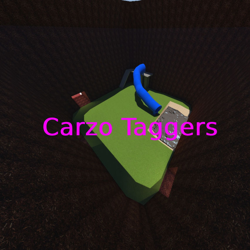 Carzo Taggers