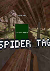 Spider Tag