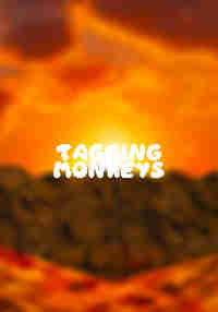 Tagging Monkeys