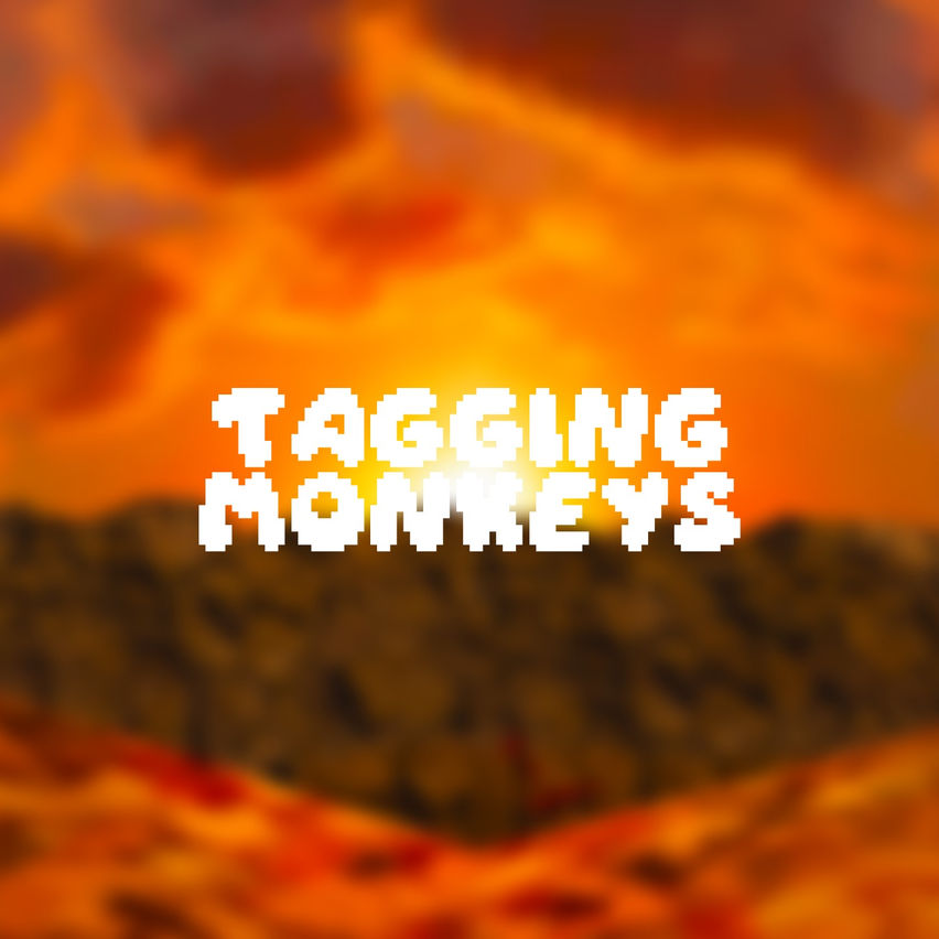 Tagging Monkeys