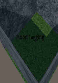 Moon Tagging V1