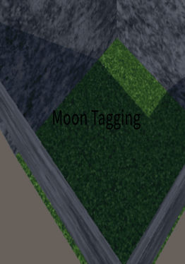 Moon Tagging V1