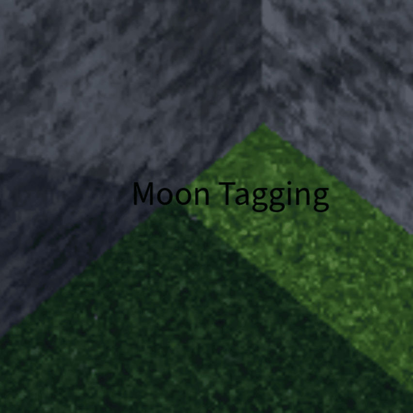 Moon Tagging V1