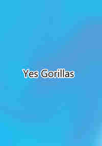 Yes Gorillas