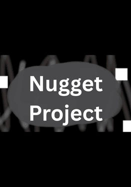 Nugget Projectㅤ