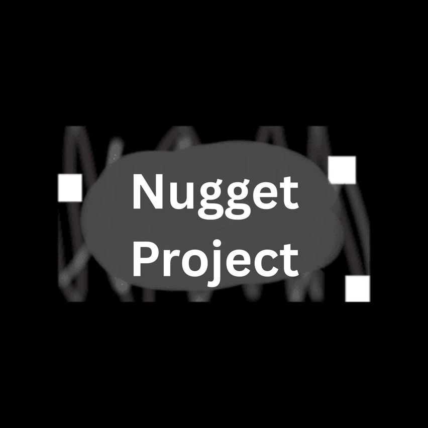 Nugget Projectㅤ