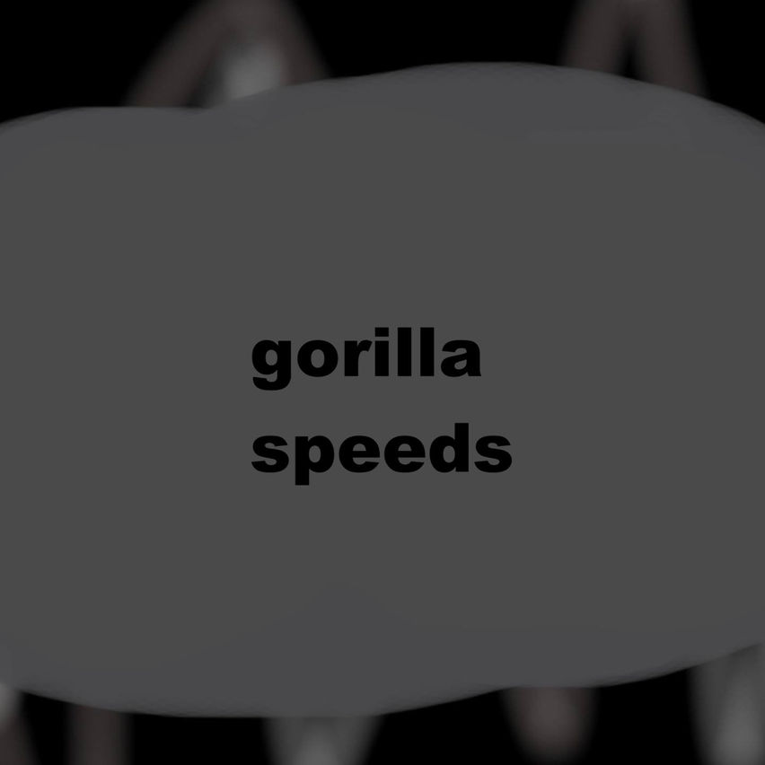 Gorilla Speeds