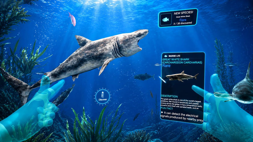 Deep Ocean Dive: Underwater Adventure
