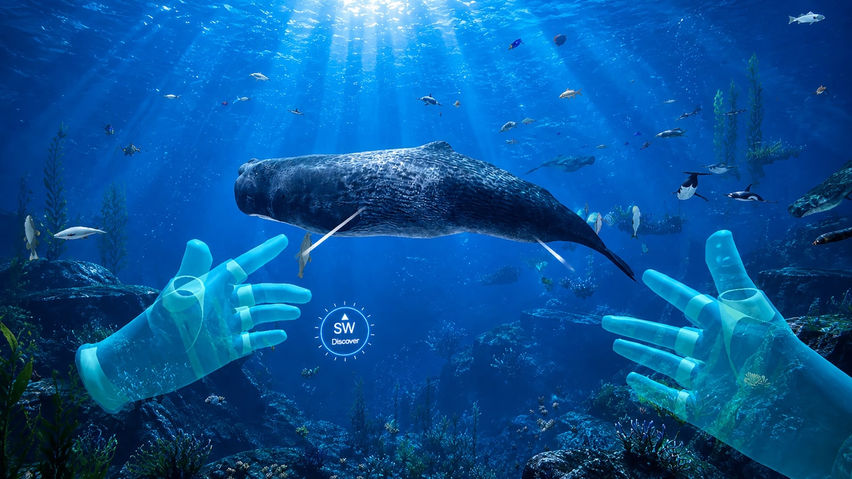 Deep Ocean Dive: Underwater Adventure