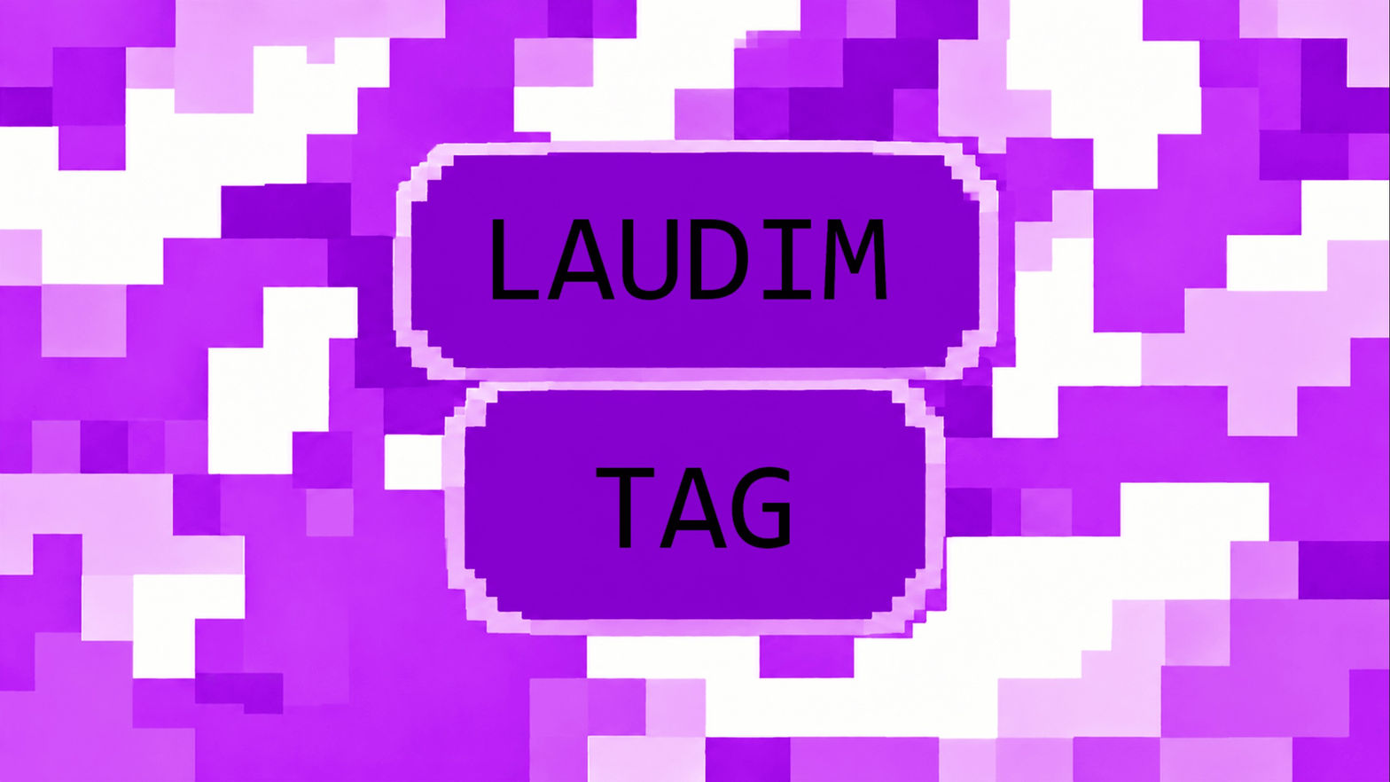 LAUDIM TAGGERS