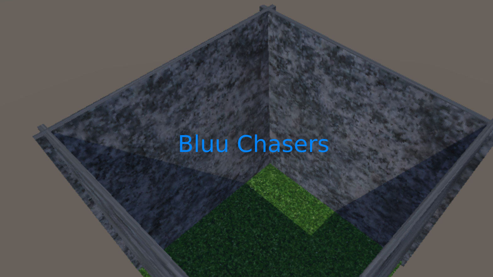 Bluu Chasers