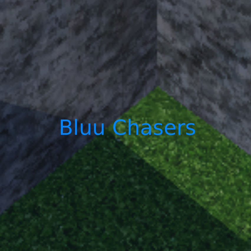 Bluu Chasers