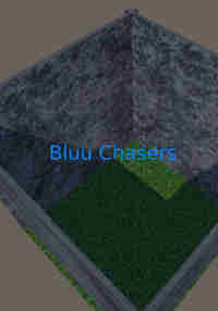 Bluu Chasers