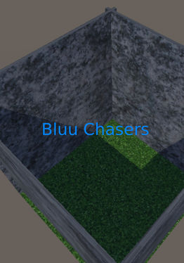 Bluu Chasers