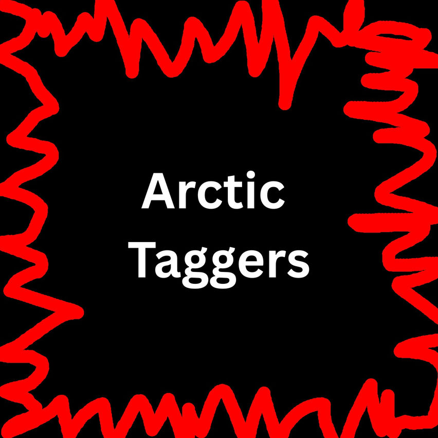 Arctic Taggers