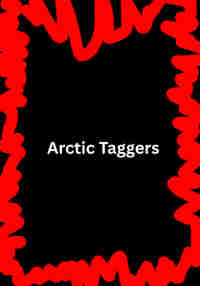 Arctic Taggers