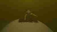 Wastelander Bundle
