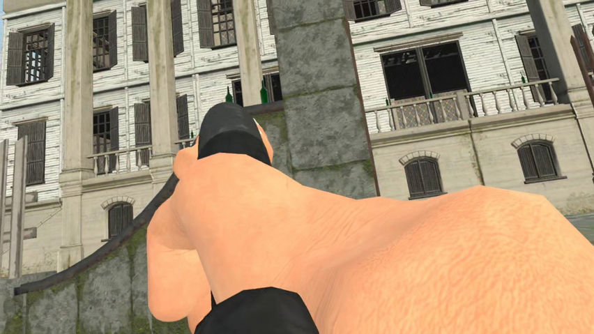 VR Skeet Shooting