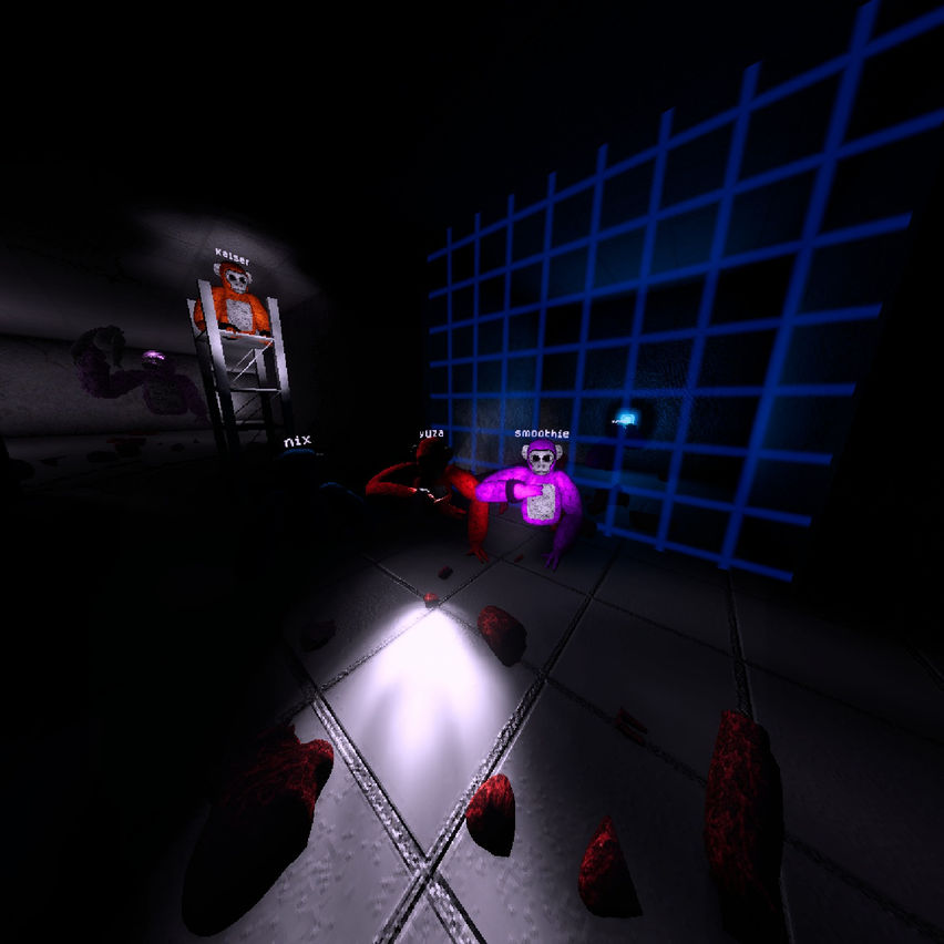 Project HELIX