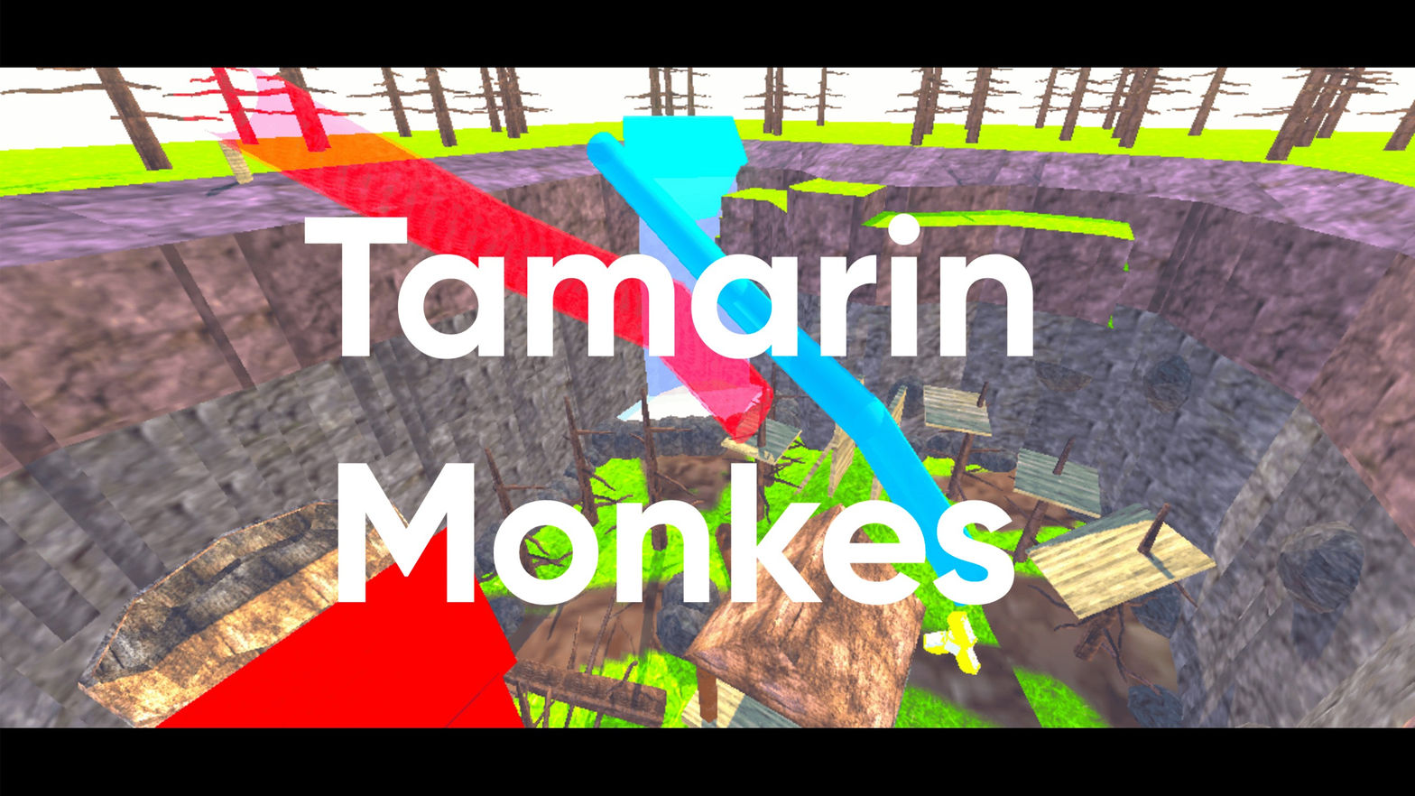Tamarin Monkes