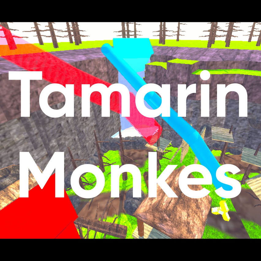 Tamarin Monkes