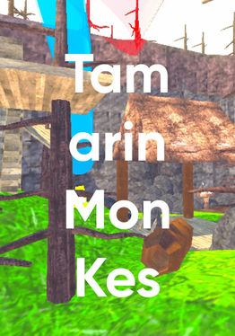 Tamarin Monkes
