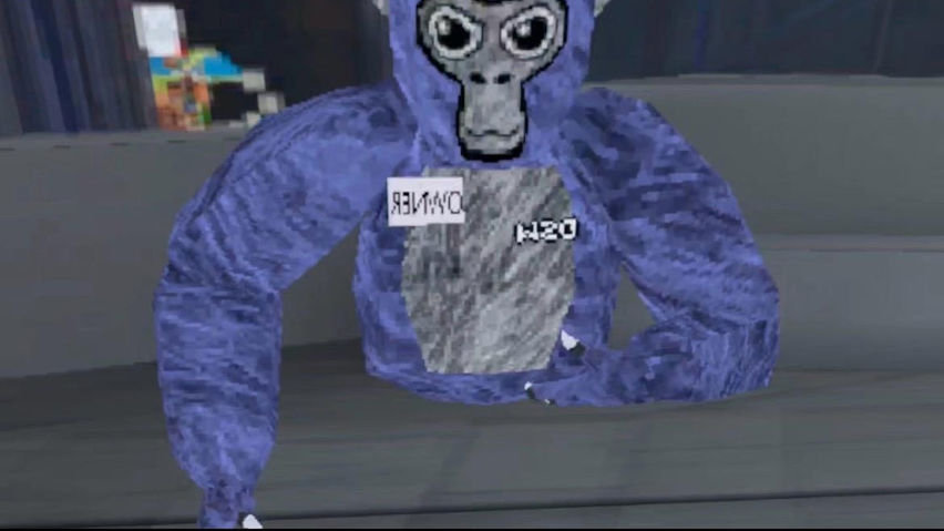 PROJECT DREXY