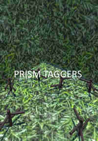 Prism Taggers