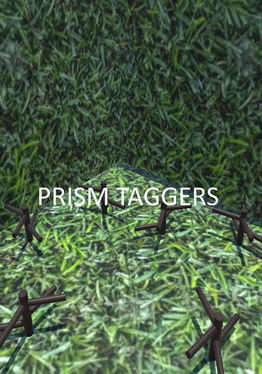 Prism Taggers