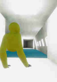 Monkeys Hollow