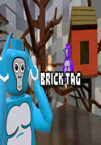Brick  Tag