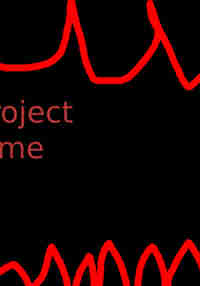 Project Time