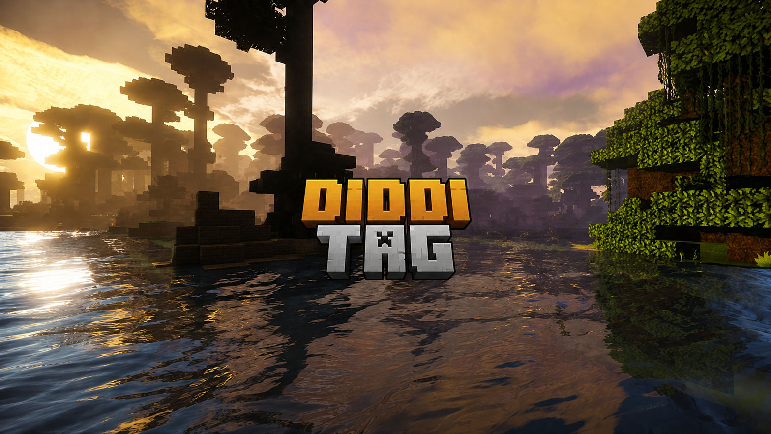 diddi tag