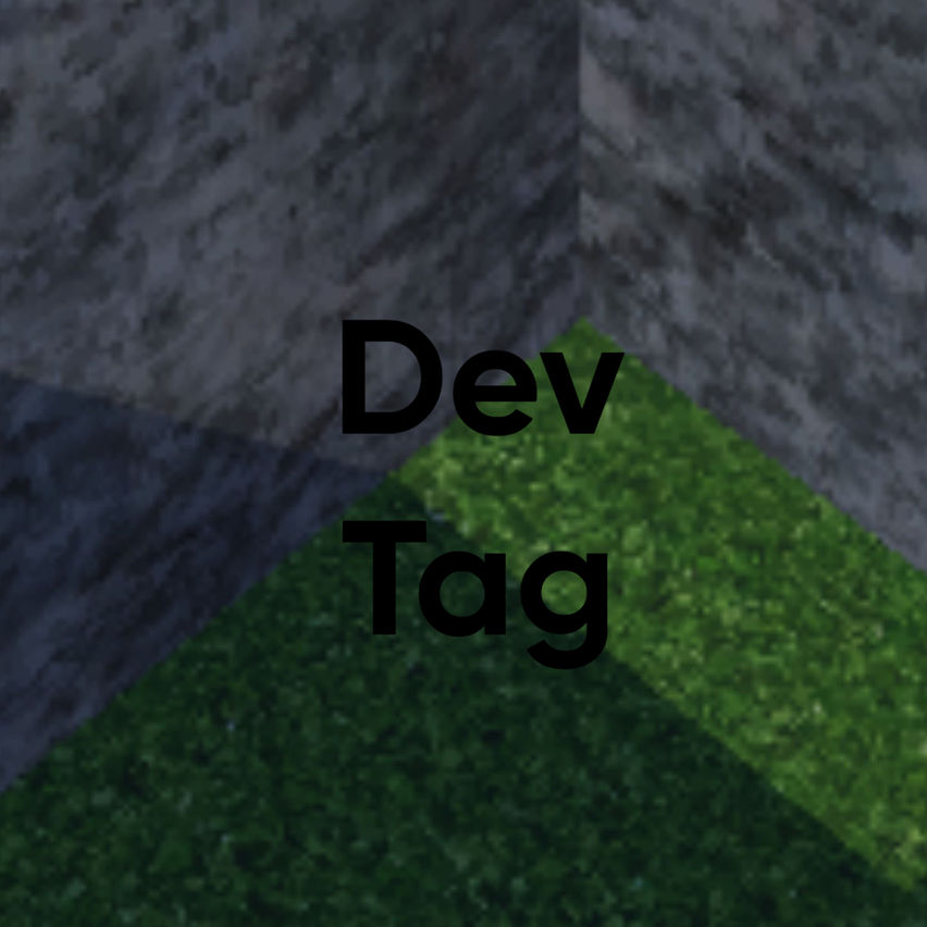 Dev Tag