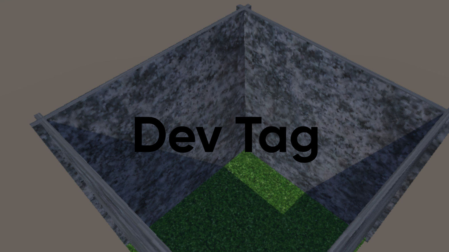 Dev Tag